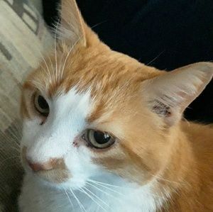 Meet your Posher, Joseph